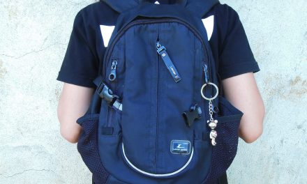 Top 10 Best School Bags for College and High School Students of 2025