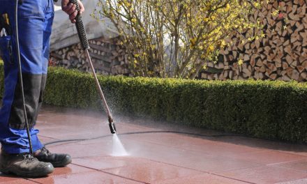 Top 10 Best Electric Pressure Washers of 2022