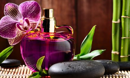 Top 10 Best Great Smelling Colognes for Women of 2023