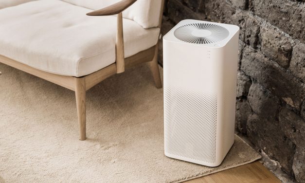 Top 10 Best Air Purifiers of 2022