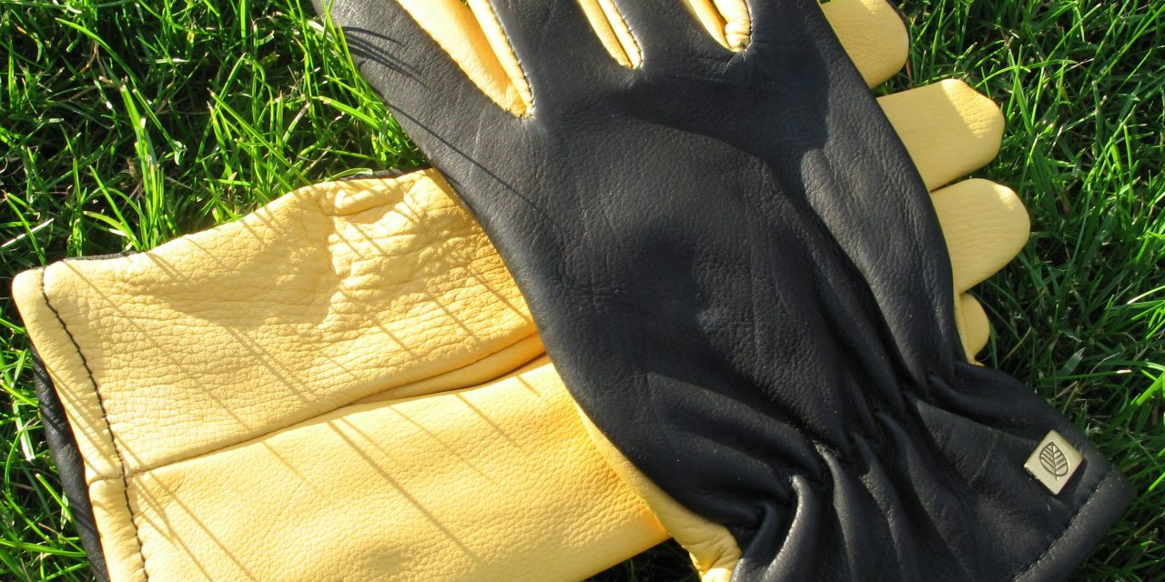 Top 10 Best Gardening Gloves of 2025