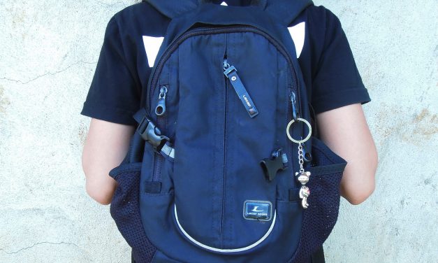 Top 10 Best School Bags for College and High School Students of 2023