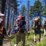 Top 10 Best Hiking Backpacks of [y]