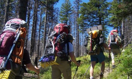Top 10 Best Hiking Backpacks of 2022