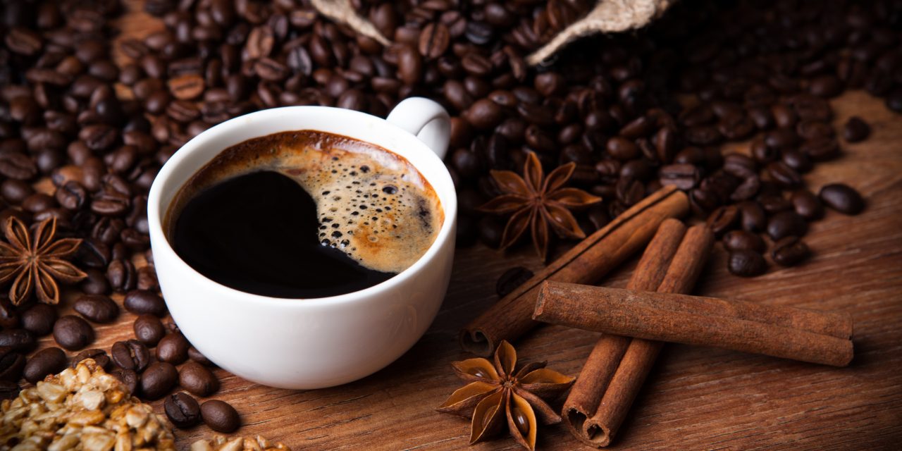 Top 10 Best Electric Coffee Grinders of 2023