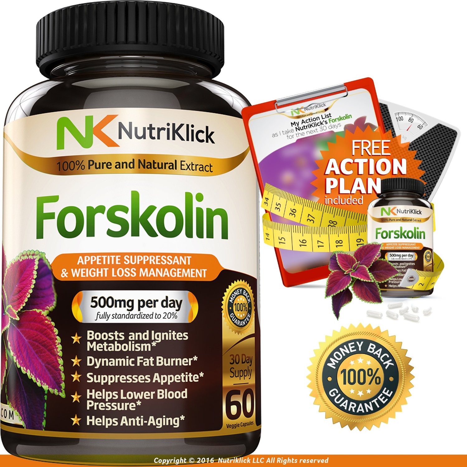 10-forskolin-extract-for-weight-loss-diet-supplement-belly-fat-burner