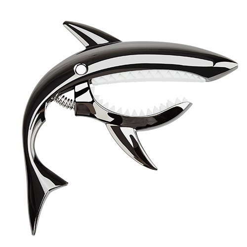 Top 10 Best Guitar Capos of 2025