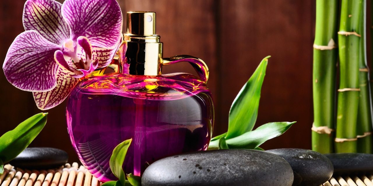Top 10 Best Great Smelling Colognes for Women of 2022