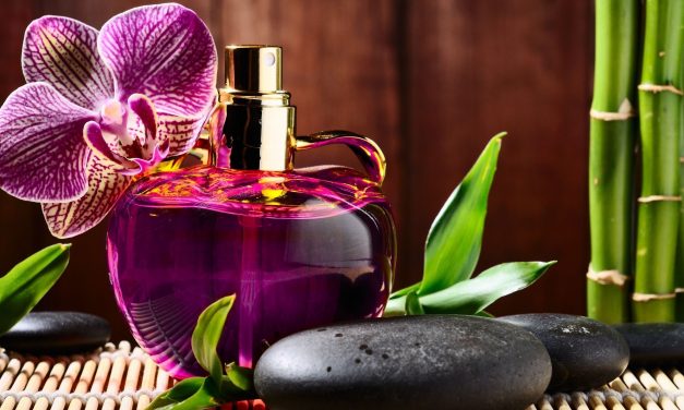 Top 10 Best Great Smelling Colognes for Women of 2024